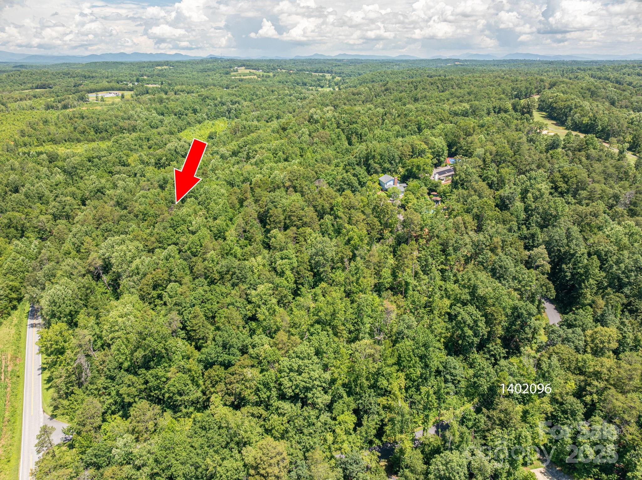 Lot 162 Coxe Road Rutherfordton, NC 28139 - Photo 7 of 16 a view of a field with plants