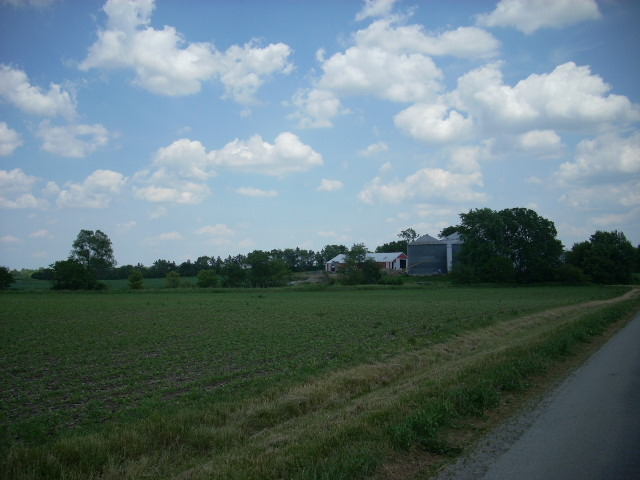 34 Delite Inn Road Beecher, IL 60401 - Photo 2 of 3 a view of a big yard with a large trees