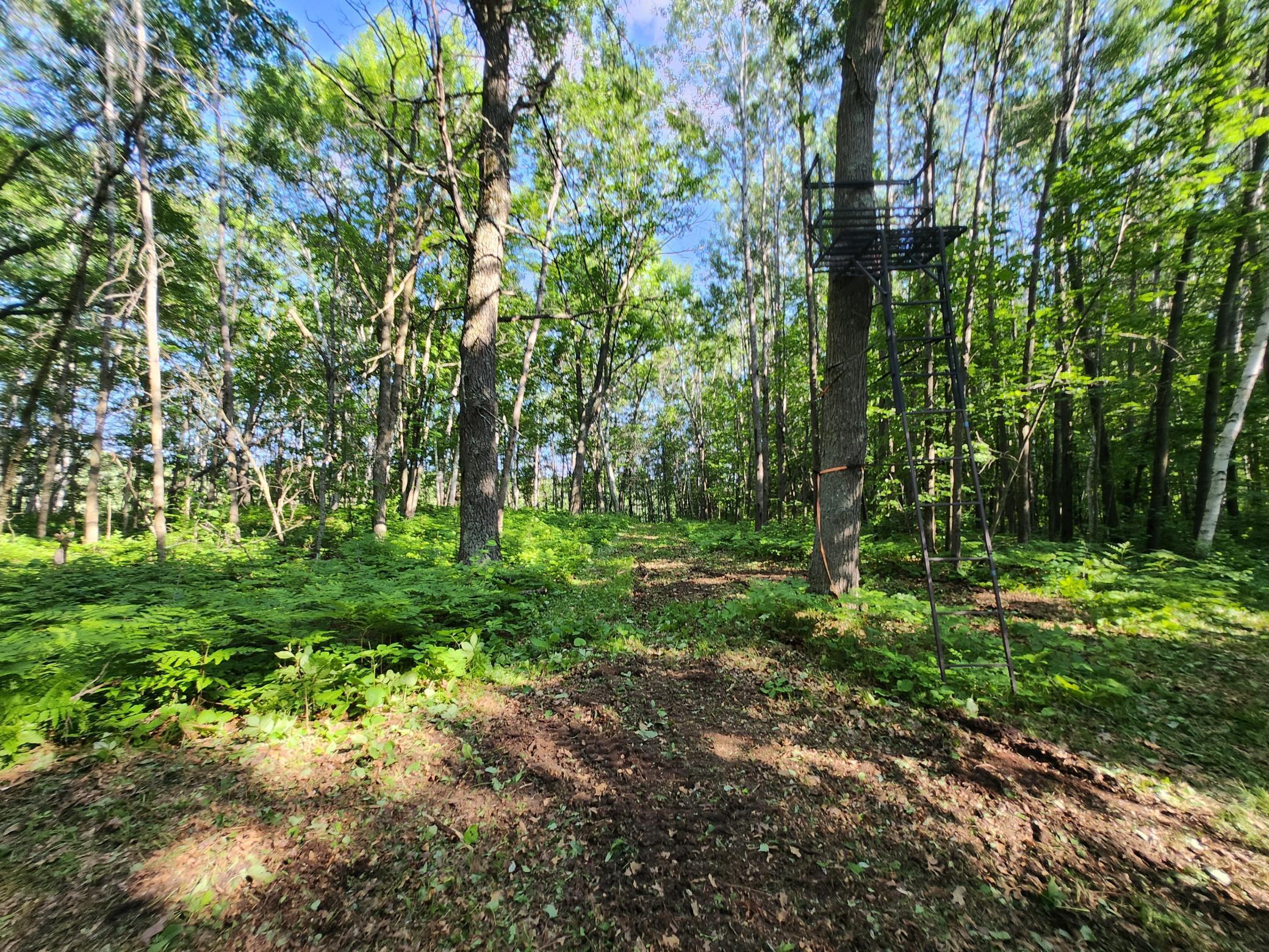 Tbd Tbd Nokay Hall Road Brainerd, MN 56401 - Photo 25 of 31