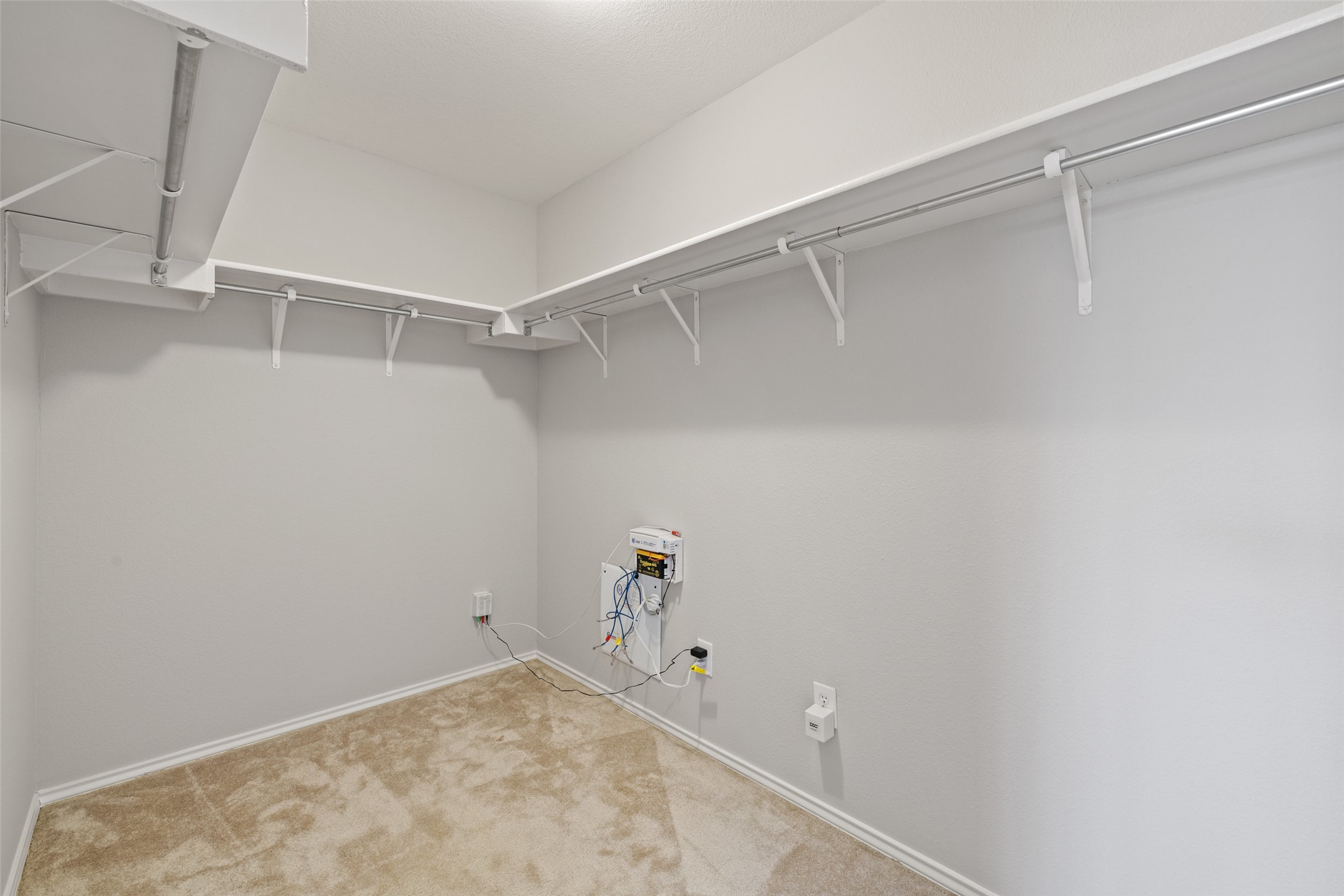 517 Castebar Drive Round Rock, TX 78664 - Photo 22 of 37 Laundry area featuring light carpet and baseboards