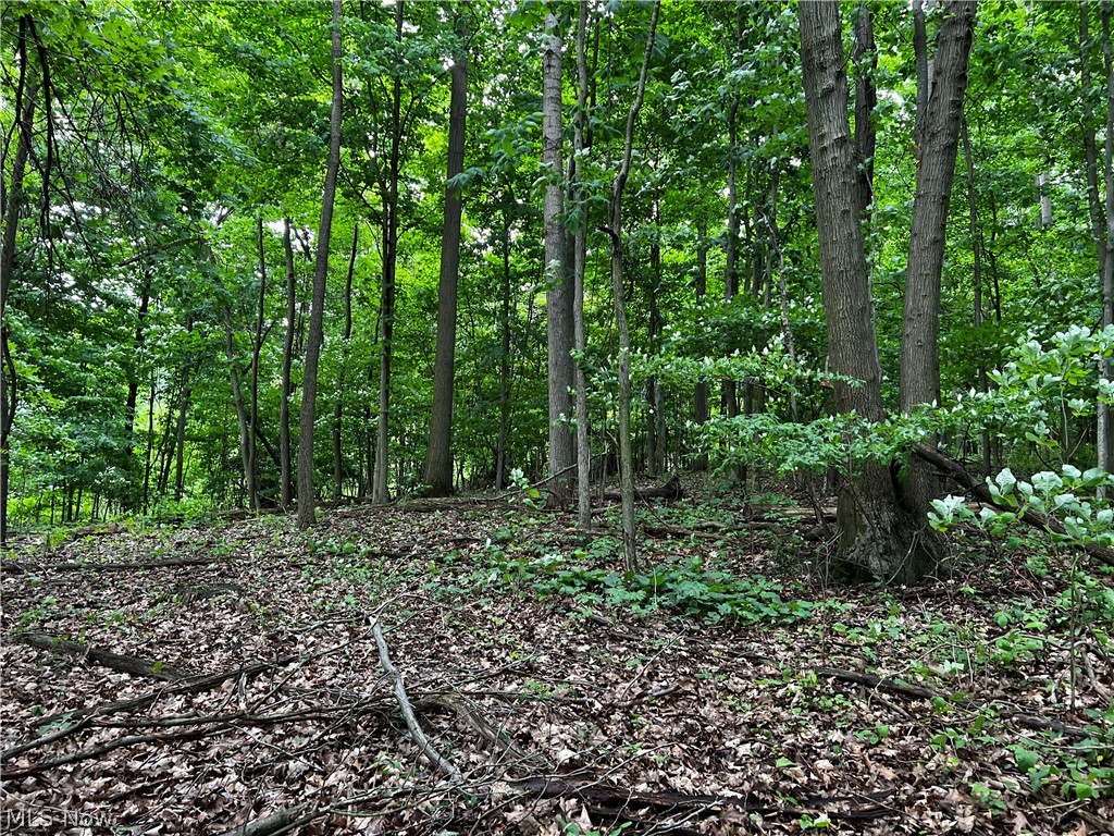 West Under Ridge Road Conneaut, OH 44030 - Photo 12 of 29