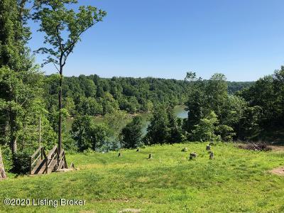 785 Indian Ridge Road Falls Of Rough, KY 40119 - Photo 24 of 28 back yard and lake view