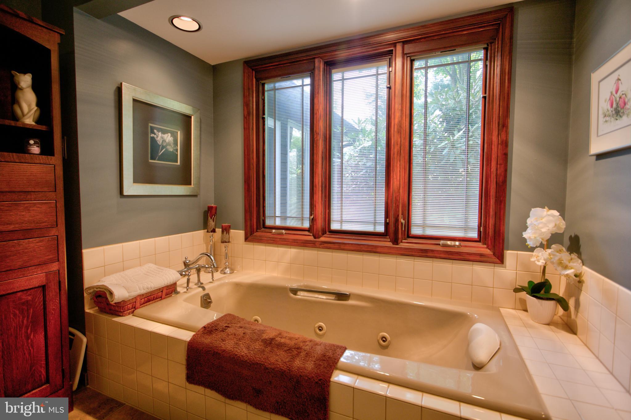473 Mt Penn Road Reading, PA 19607 - Photo 36 of 53 Whirlpool Tub