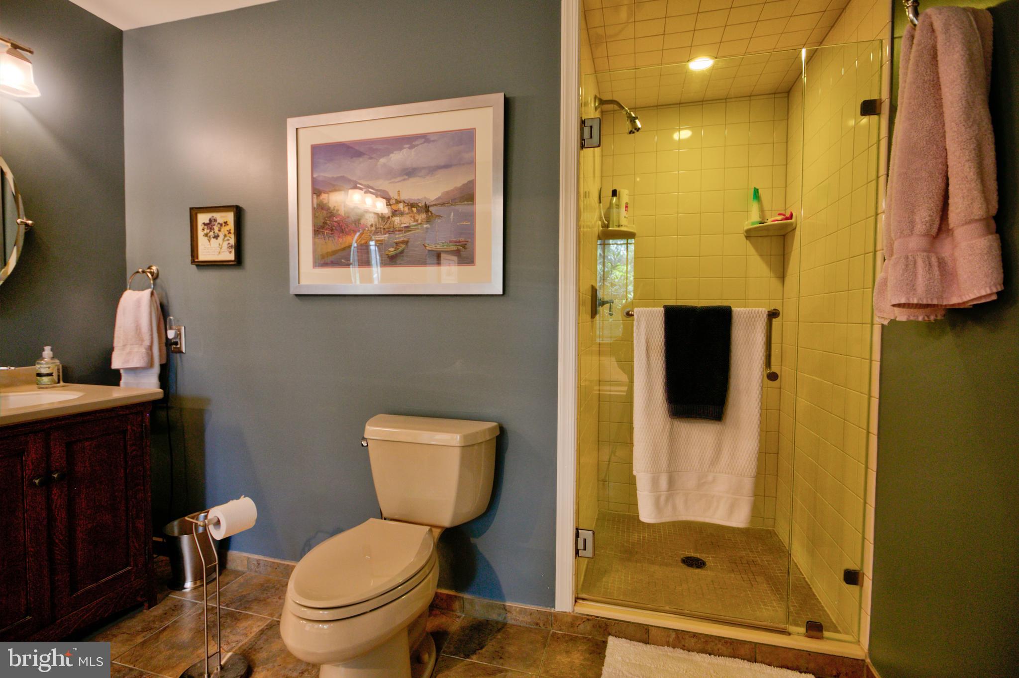 473 Mt Penn Road Reading, PA 19607 - Photo 37 of 53 Tiled Walk-In Shower