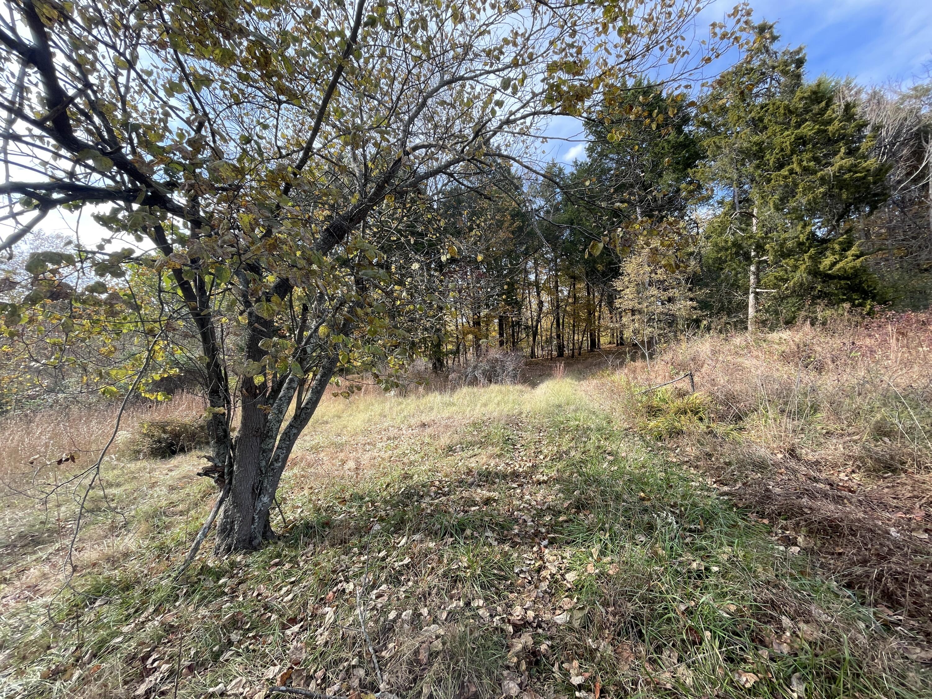 1321 Curry Road Summersville, KY 42782 - Photo 6 of 12 D3F59043-CCB4-4A68-938F-FC0B6DF3FB52_1_2