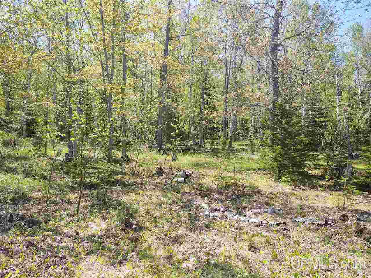 Tbd-parcel Point Abbaye Road Lanse, MI 49946 - Photo 35 of 39