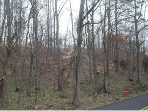173 Pickens Road, Unit 2 Kingsport, TN 37663 - Photo 3 of 5 Photo 3