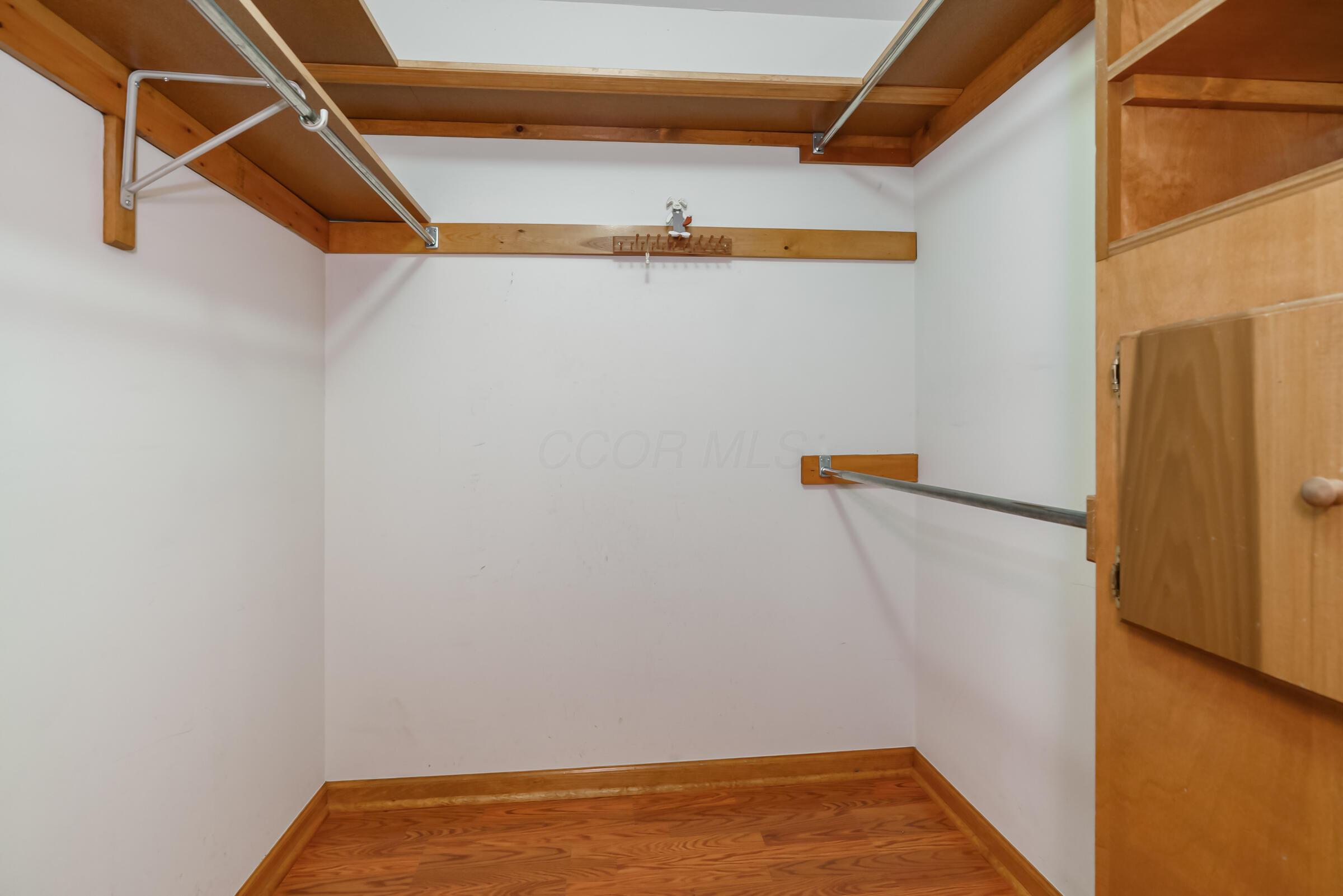 5641 Davidson Road Hilliard, OH 43026 - Photo 25 of 49 Primary Walk-In Closet