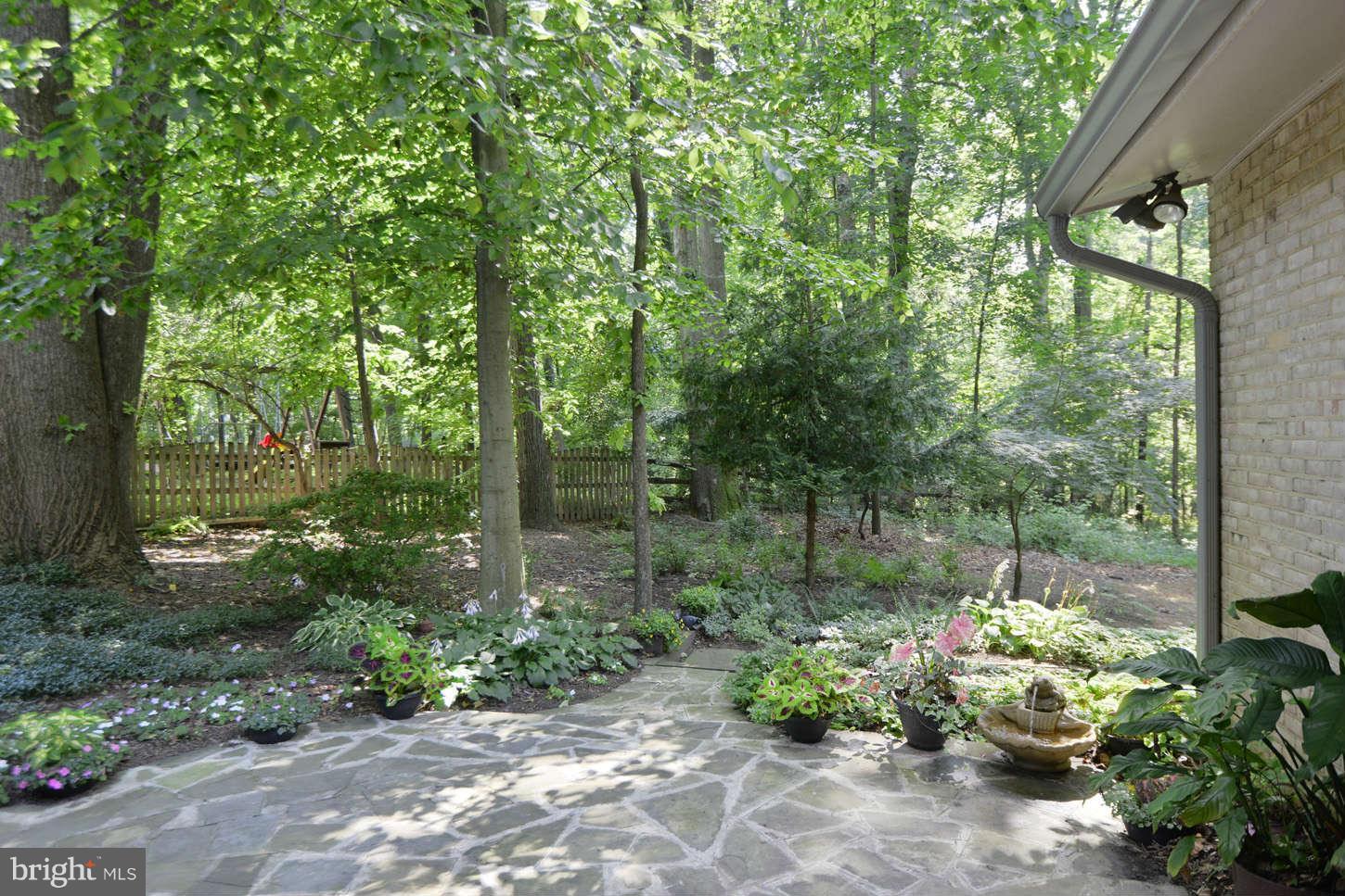 17935 Pond Road Ashton, MD 20861 - Photo 6 of 30 Exterior General
