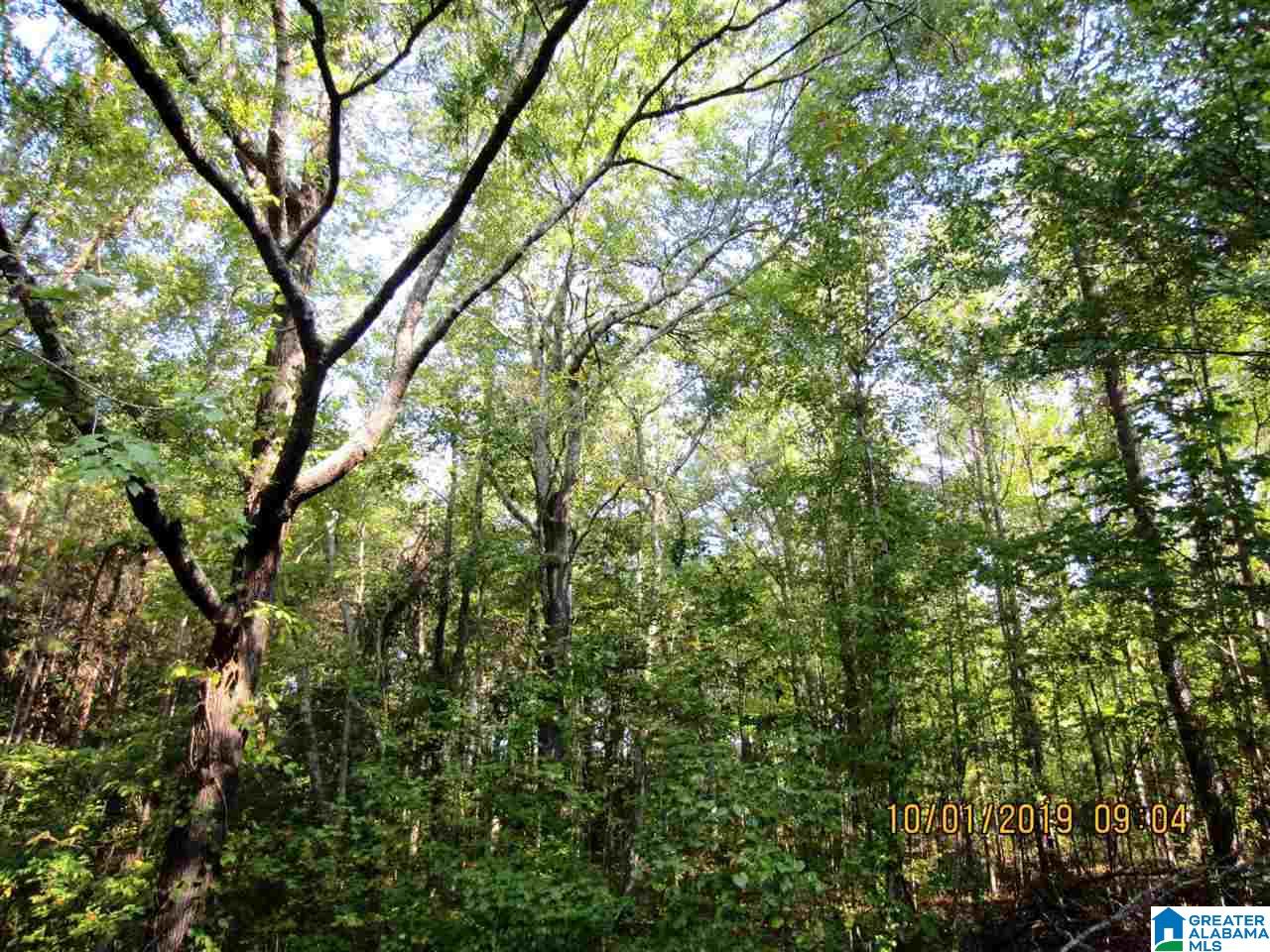 4701 Pleasant Hill Road Ashland, AL 36251 - Photo 14 of 16