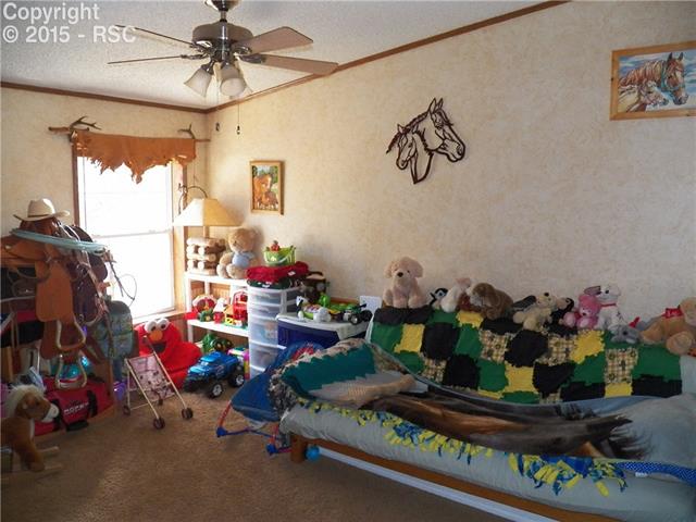 2386 Pathfinder Road Florissant, CO 80816 - Photo 29 of 32 Gallery Image 29