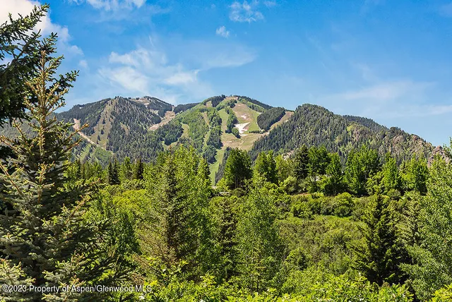 a view of a large building with a mountain in the background