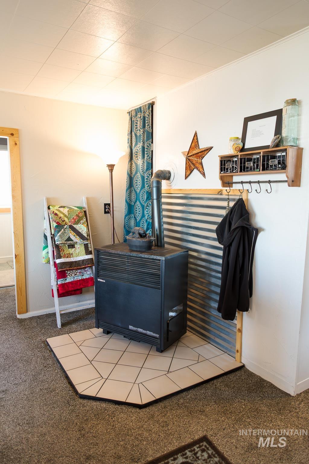 211 Northeast 3rd Avenue Ontario, OR 97914 - Photo 13 of 40 Detailed view of carpet floors and a wood stove
