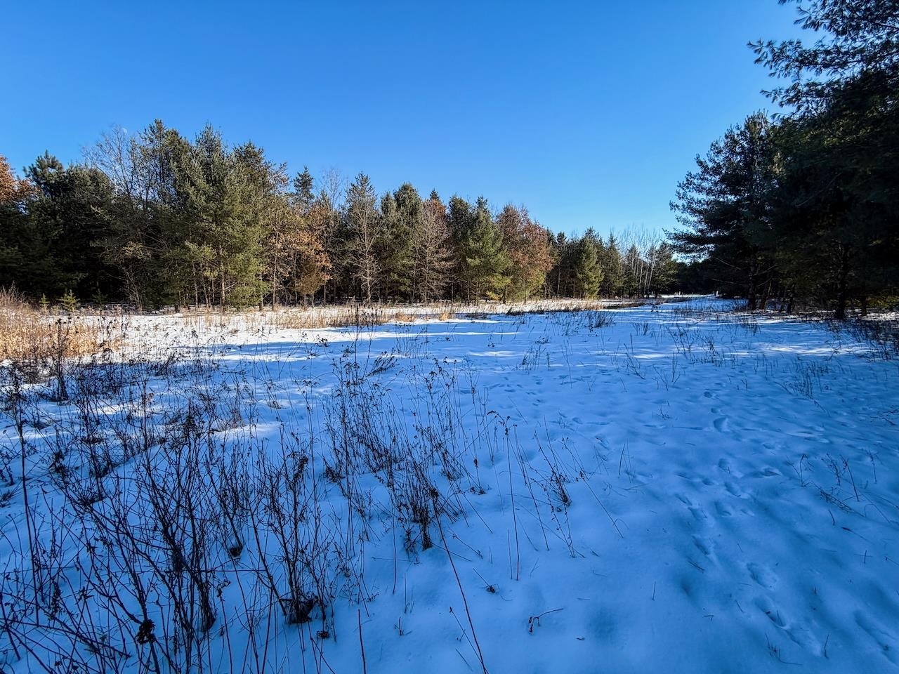 2 County Highway Sparta, WI 54656 - Photo 11 of 27