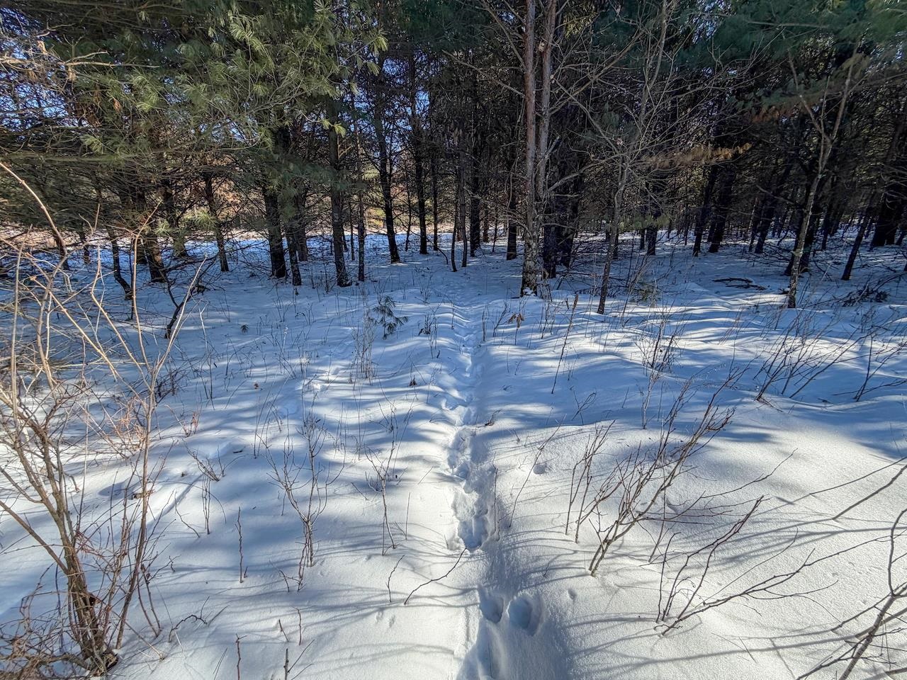 2 County Highway Sparta, WI 54656 - Photo 13 of 27