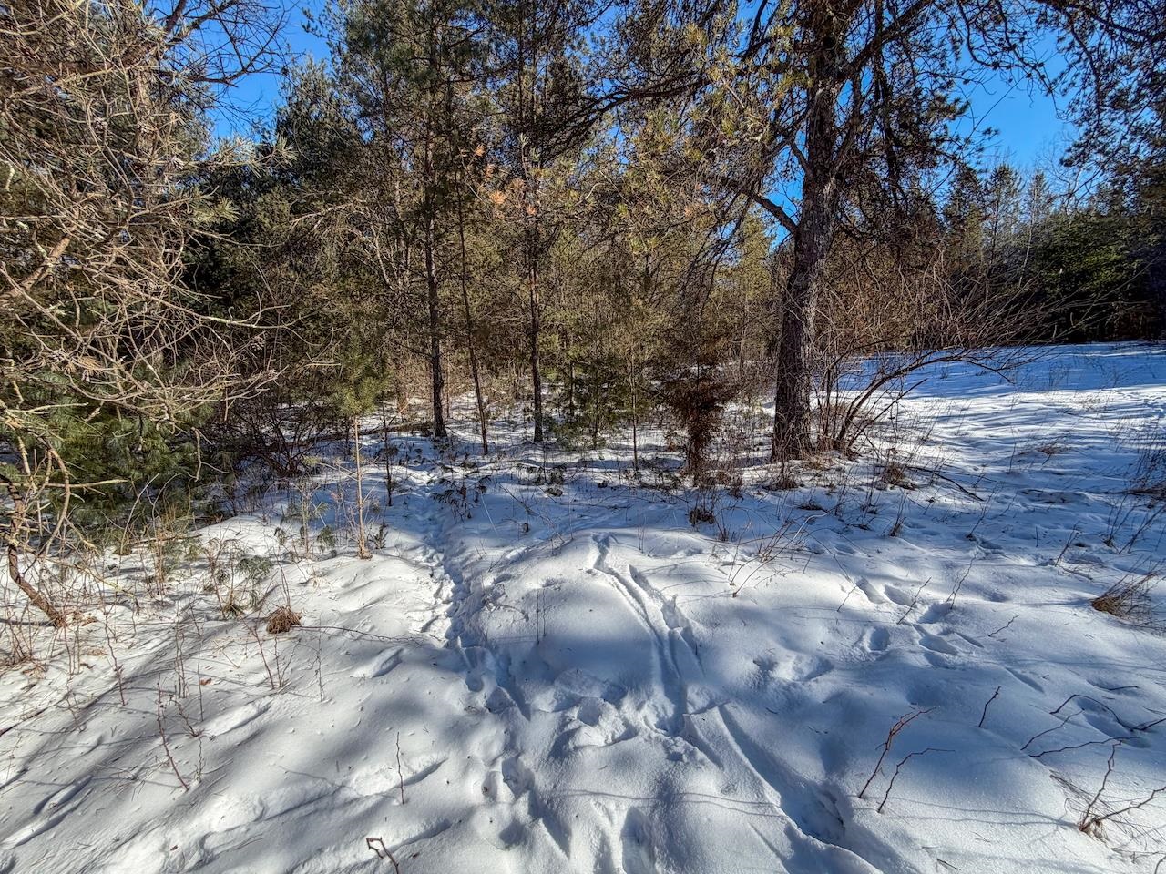 2 County Highway Sparta, WI 54656 - Photo 16 of 27