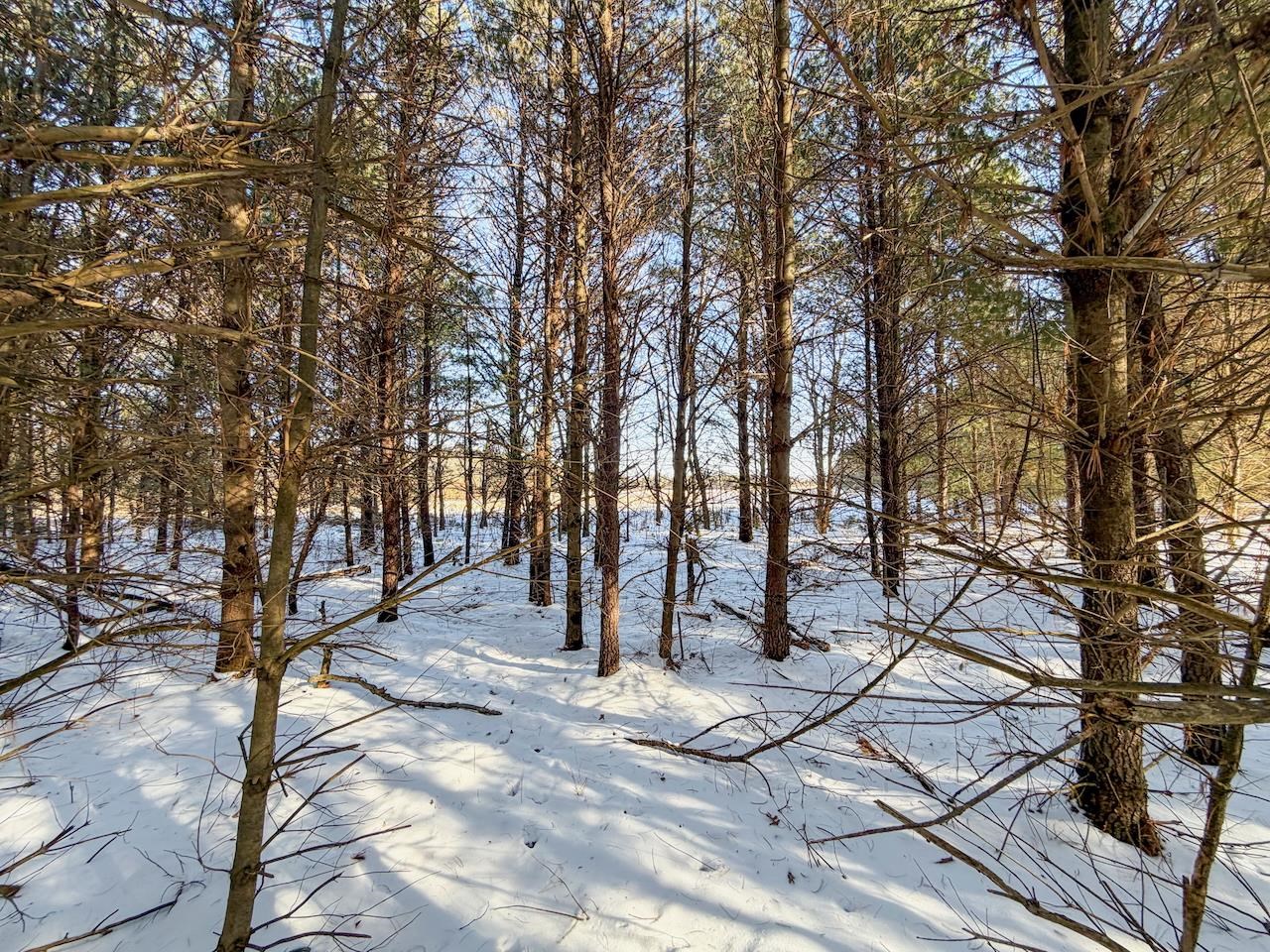 2 County Highway Sparta, WI 54656 - Photo 23 of 27