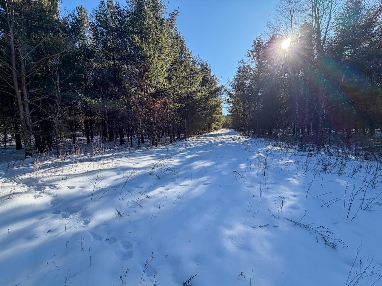 2 County Highway Sparta, WI 54656 - Photo 10 of 27