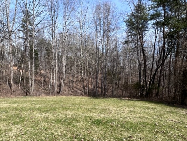 1397 Camp Ravine Road Burns, TN 37029 - Photo 4 of 18 Gallery Image 4