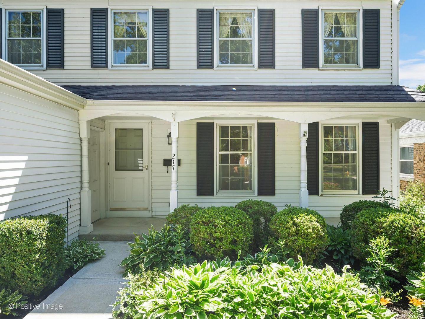 217 Rex Boulevard Elmhurst, IL 60126 - Photo 3 of 36