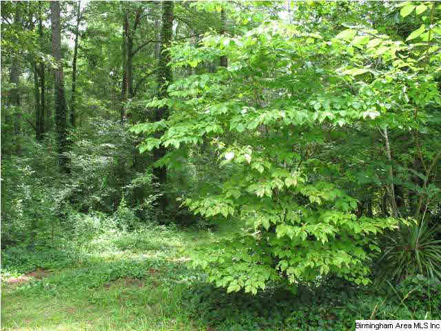 0 Rockcrusher Road, Unit 10 AC Steele, AL 35987 - Photo 6 of 8