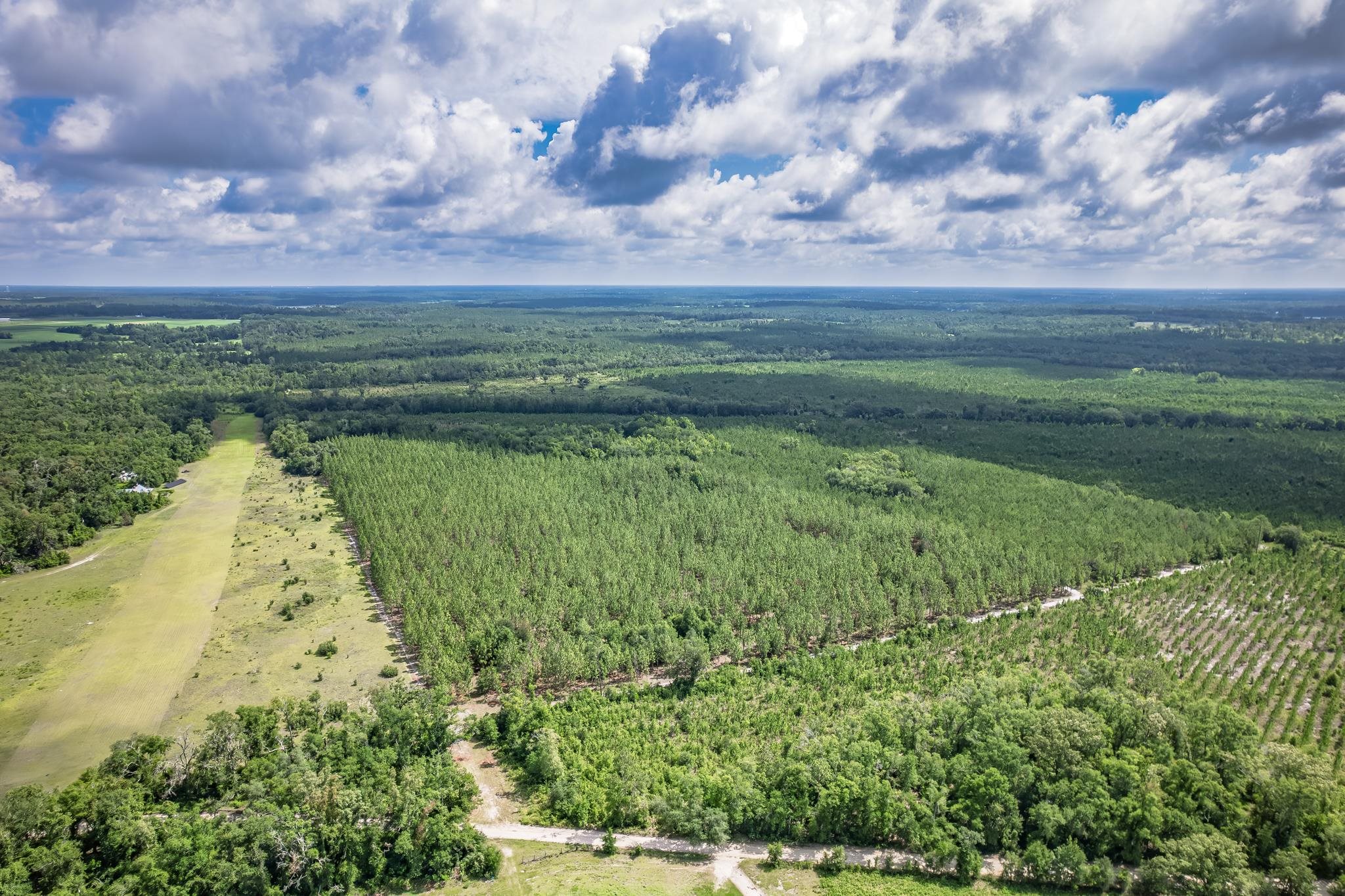 Xxx Northeast Hickory Grove Road Pinetta, FL 32350 - Photo 18 of 32
