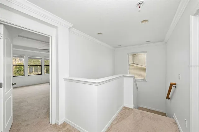 $2,995 | 1077 Thunderhead Lane, Minneola, FL 34715