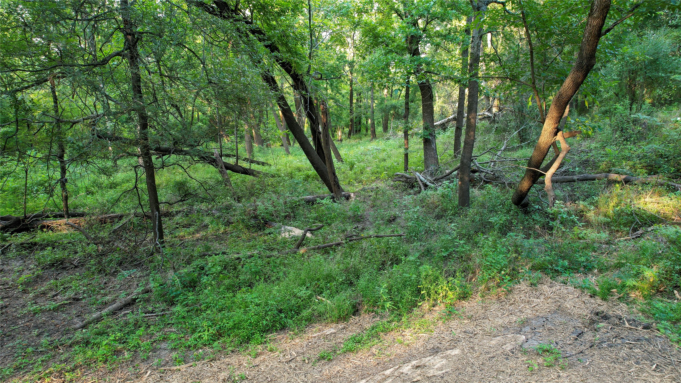 Tbd Antioch Road Midway, TX 75852 - Photo 14 of 25 Gallery Image 14