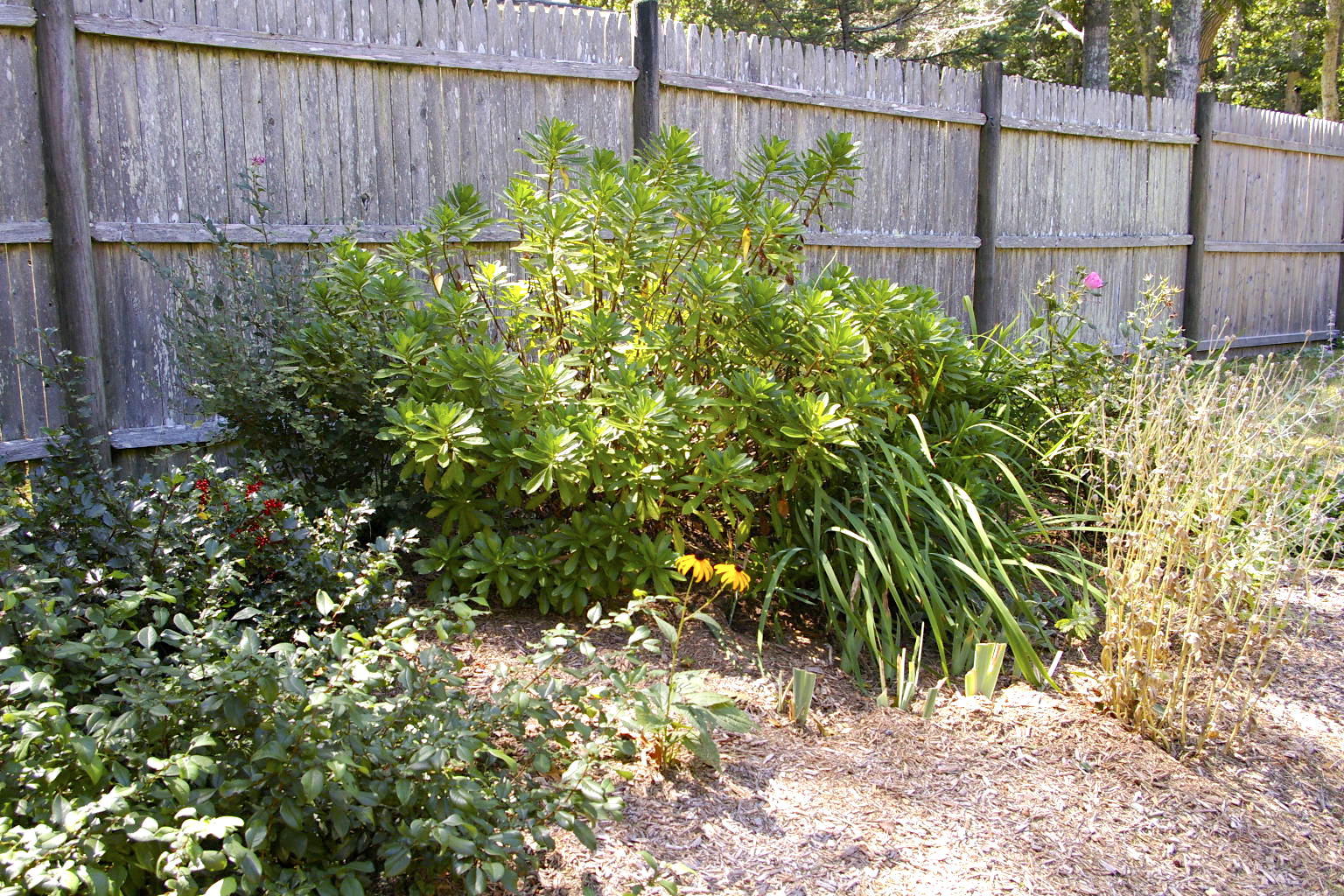 85 Oak Ridge Road Eastham, MA 02642 - Photo 27 of 33 _IGP0117