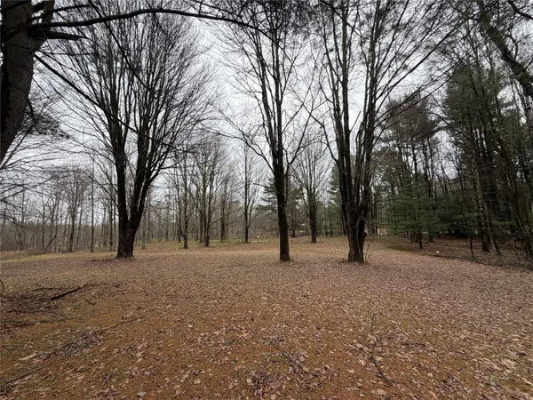 $224,000 | 112 Wiser Road, Port Crane, NY 13833
