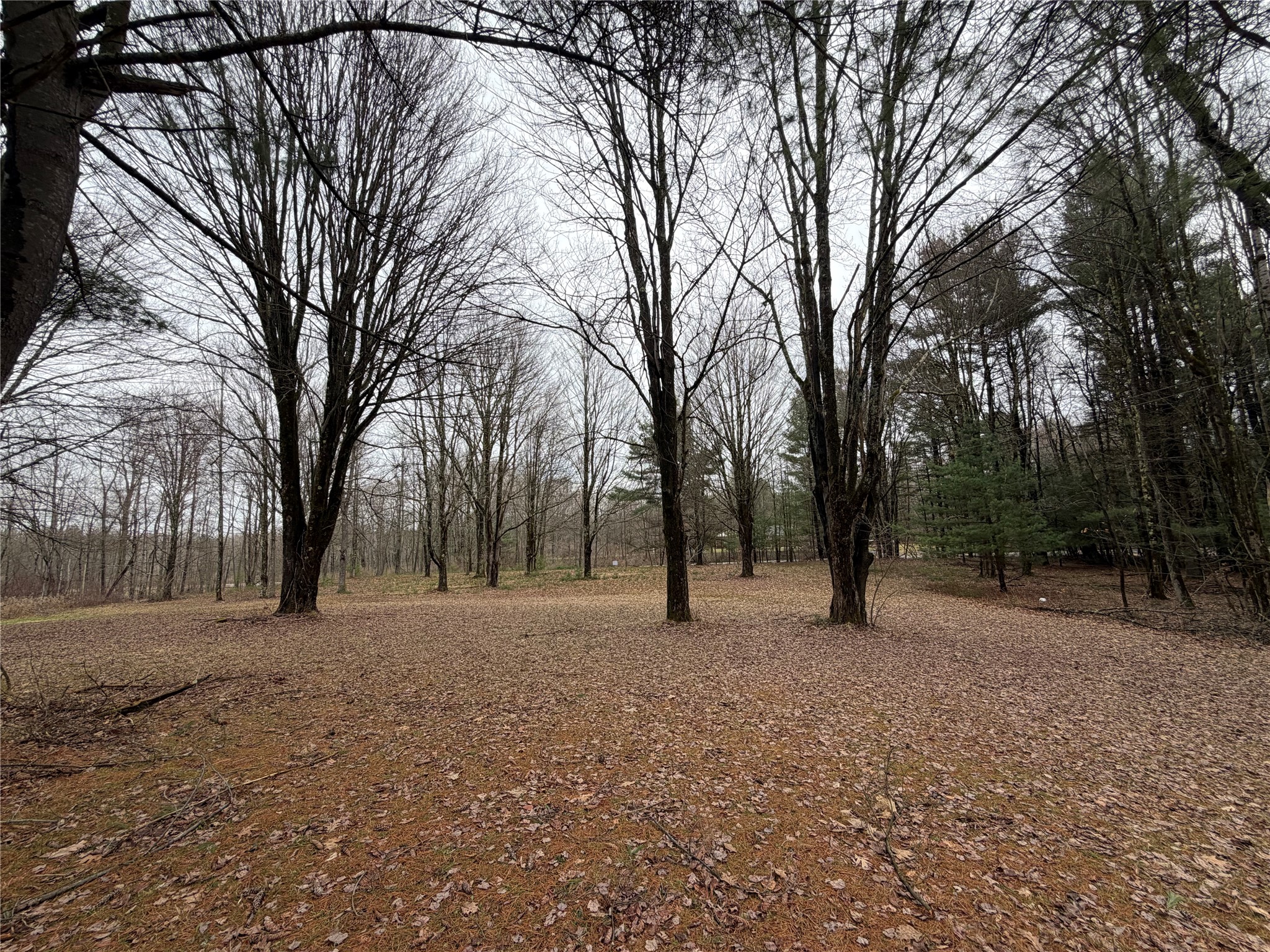 112 Wiser Road Port Crane, NY 13833 - Photo 26 of 29