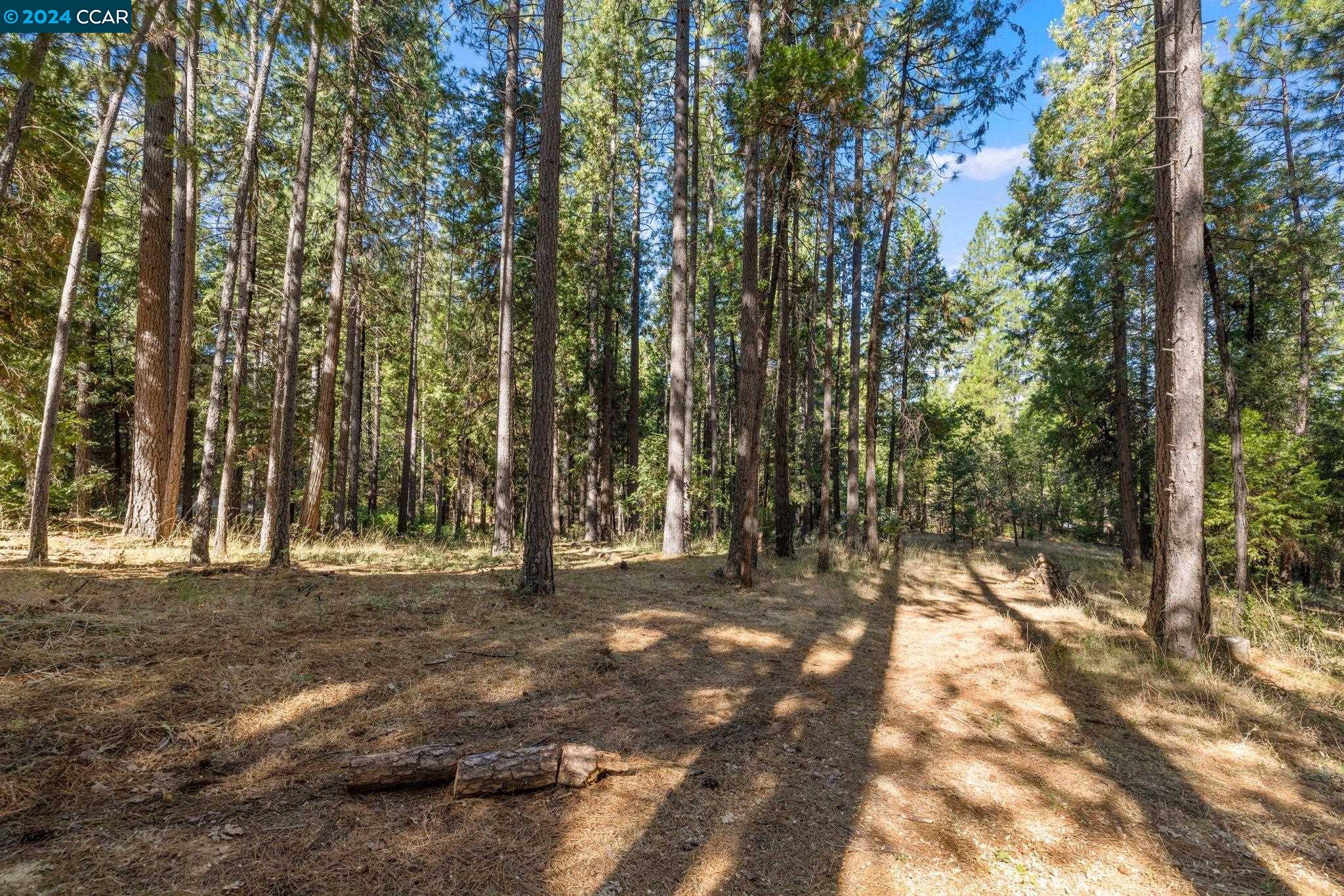 6174 Dog Town Road Somerset, CA 95684 - Photo 1 of 1 Gallery Image 1