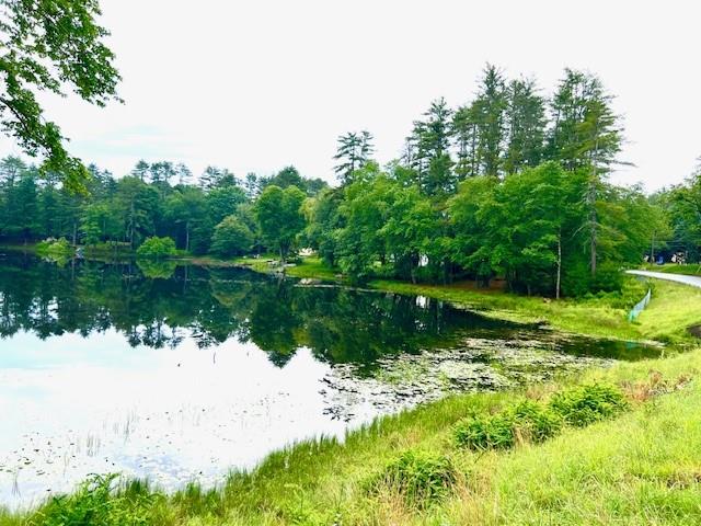 Lot 8.4 Beaver Brook Road Yulan, NY 12792 - Photo 3 of 6 a view of a lake from a yard
