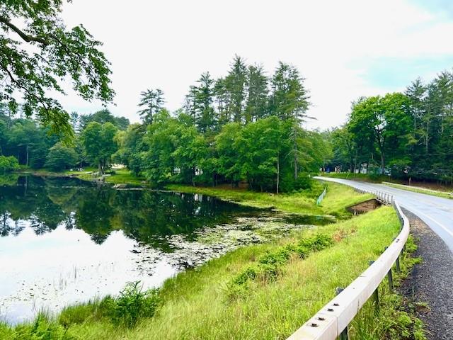 Lot 8.4 Beaver Brook Road Yulan, NY 12792 - Photo 4 of 6 a view of a wooden bridge