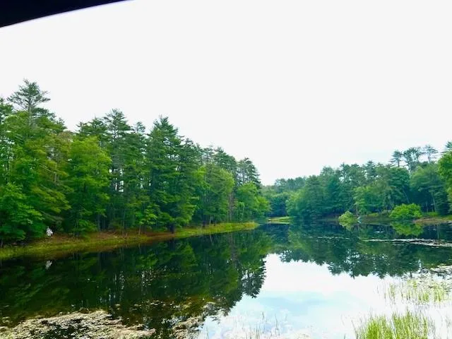 $10,000 | Lot 8.4 Beaver Brook Road, Yulan, NY 12792