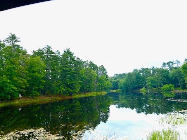 Lot 8.4 Beaver Brook Road Yulan, NY 12792 - Photo 6 of 6 a view of lake with green space