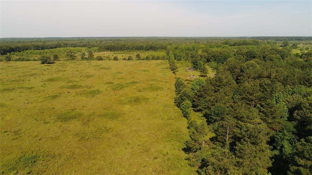 7961 Sand Road Haworth, OK 74740 - Photo 3 of 12 a view of an ocean from a yard