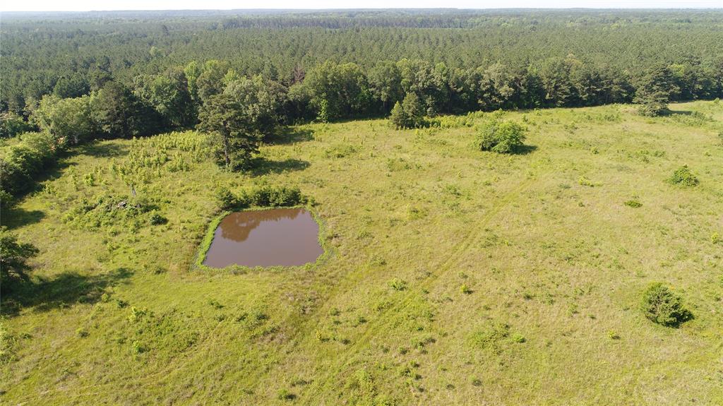7961 Sand Road Haworth, OK 74740 - Photo 6 of 12 a view of a yard with an ocean