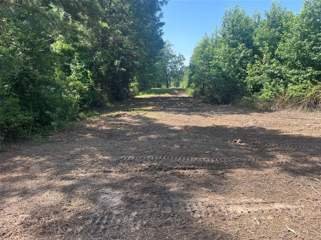 7961 Sand Road Haworth, OK 74740 - Photo 9 of 12 a view of outdoor space with trees