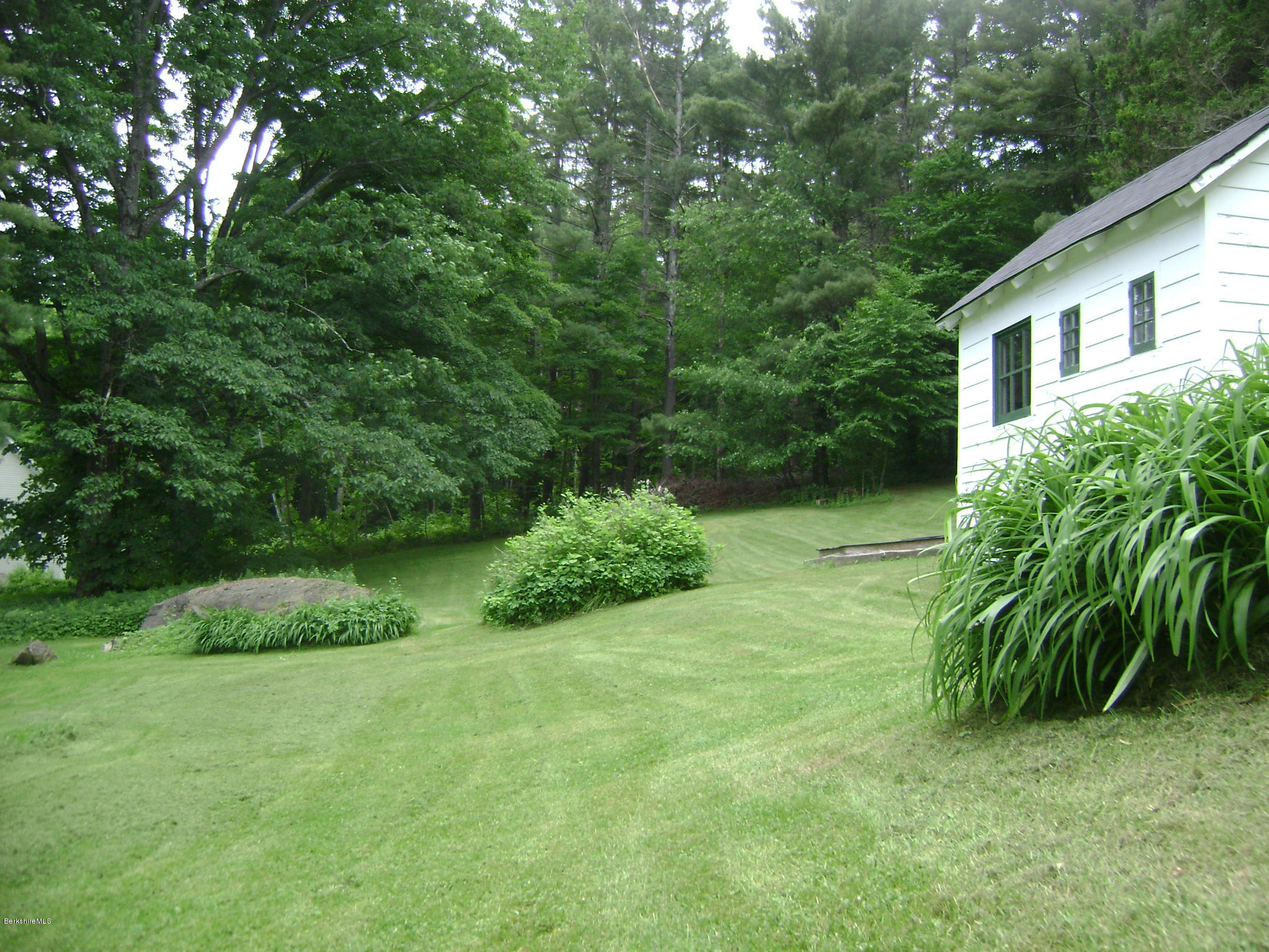 back yard