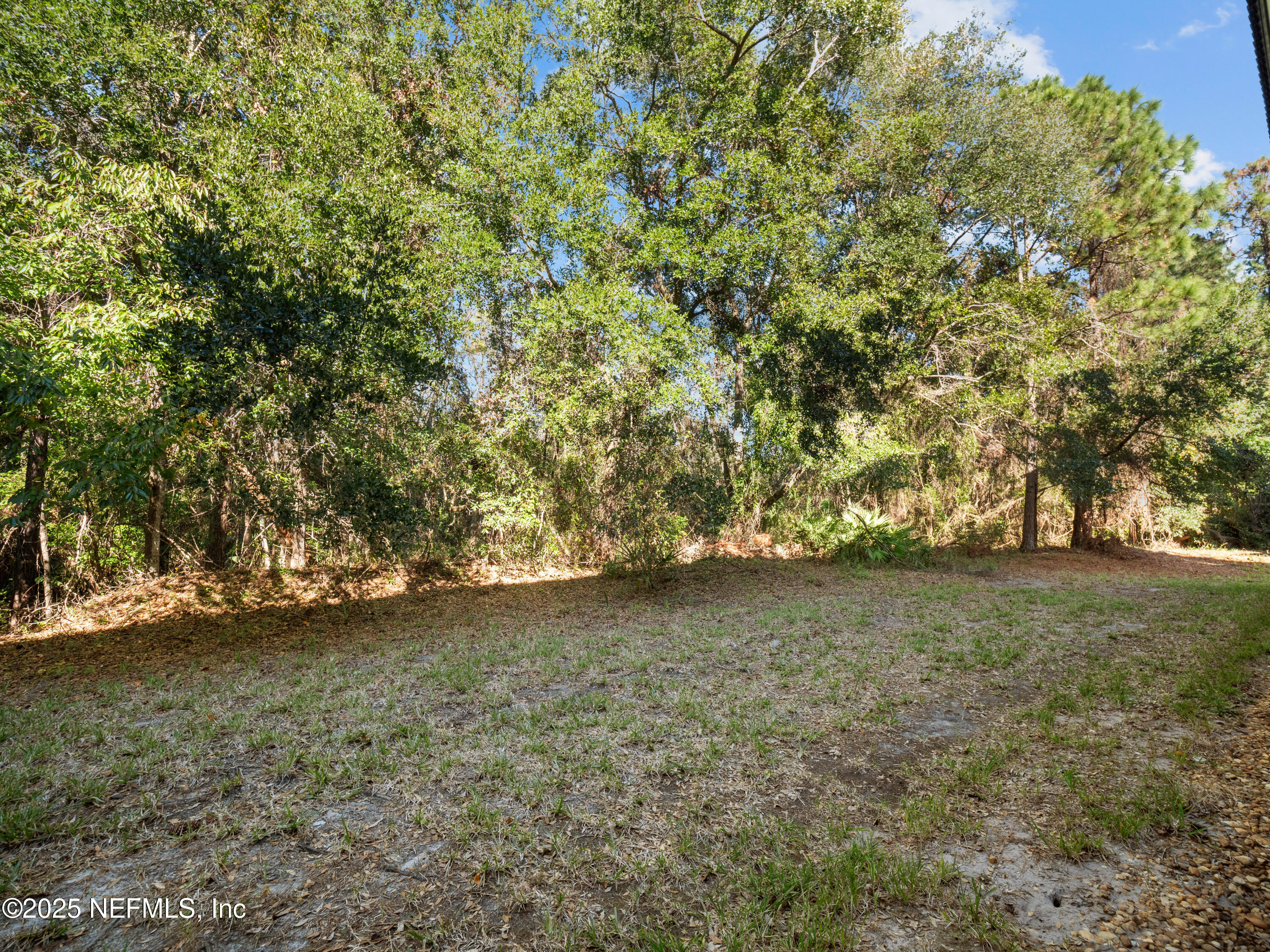 9745 Touchton Road, Unit 1204 Jacksonville, FL 32246 - Photo 20 of 35 a view of a field with trees