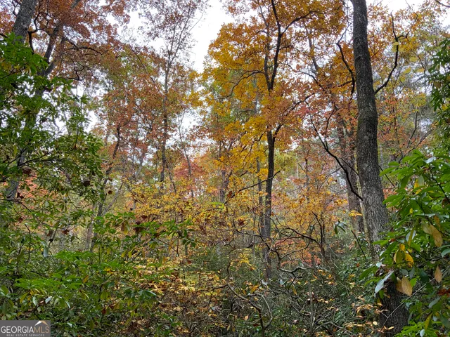 $45,000 | 224 Magnolia Drive, Sautee Nacoochee, GA 30571