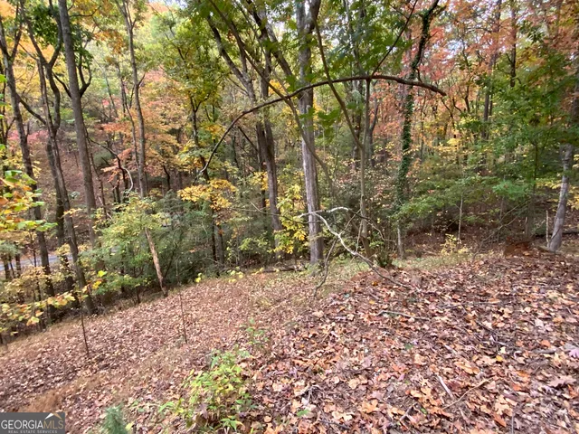 $45,000 | 224 Magnolia Drive, Sautee Nacoochee, GA 30571