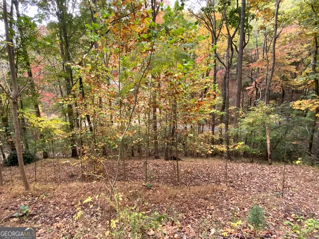 $45,000 | 224 Magnolia Drive, Sautee Nacoochee, GA 30571