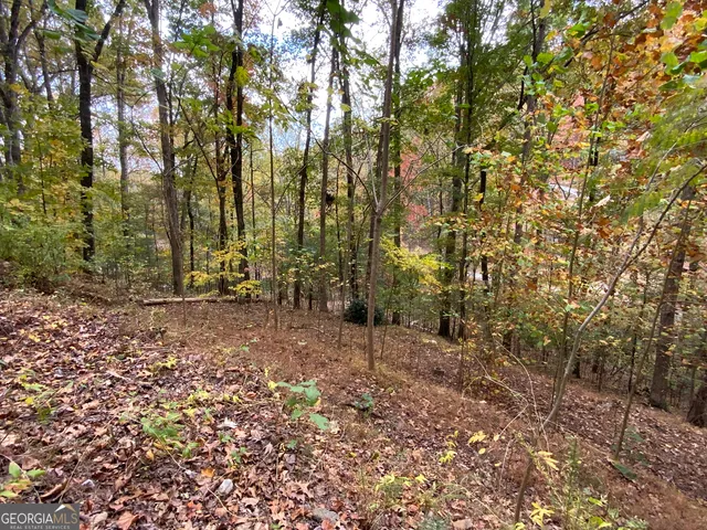 $45,000 | 224 Magnolia Drive, Sautee Nacoochee, GA 30571