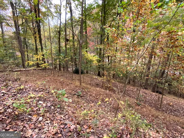 $45,000 | 224 Magnolia Drive, Sautee Nacoochee, GA 30571