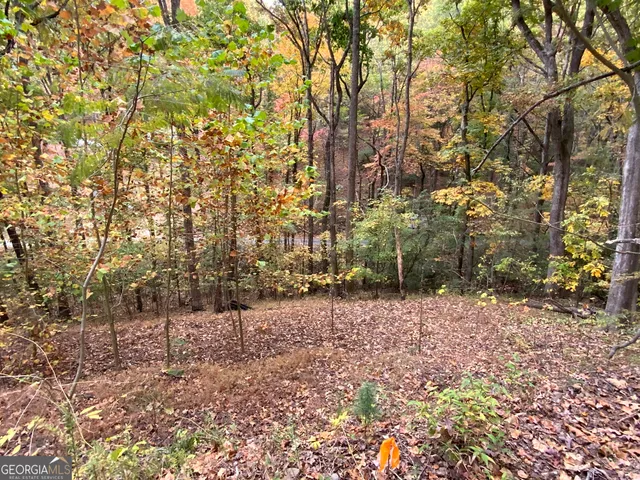 $45,000 | 224 Magnolia Drive, Sautee Nacoochee, GA 30571