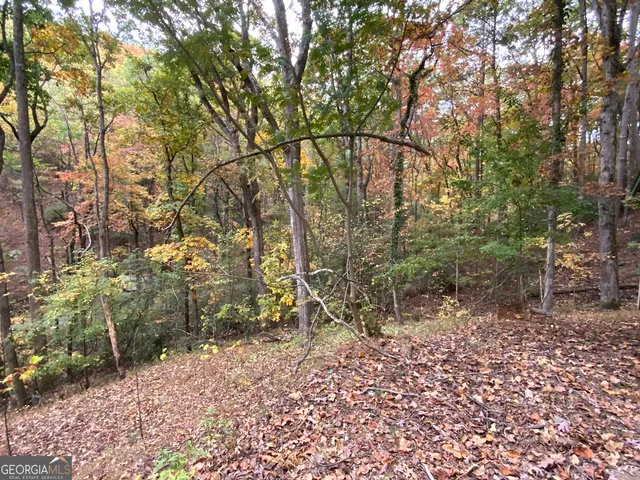 $45,000 | 224 Magnolia Drive, Sautee Nacoochee, GA 30571