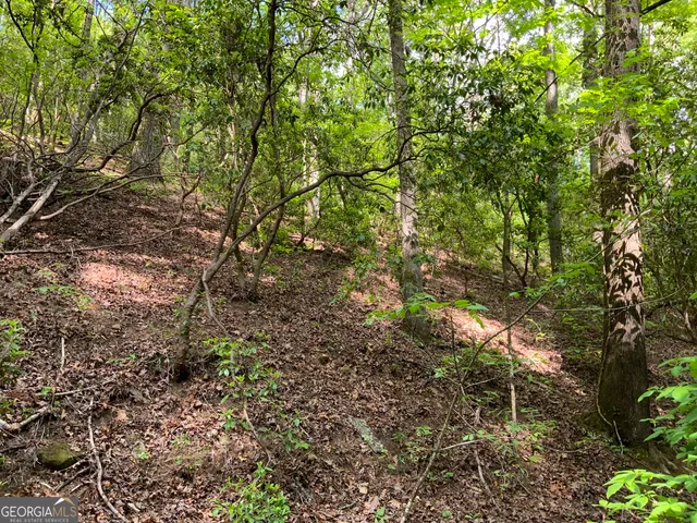 $45,000 | 224 Magnolia Drive, Sautee Nacoochee, GA 30571