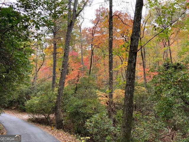 $45,000 | 224 Magnolia Drive, Sautee Nacoochee, GA 30571